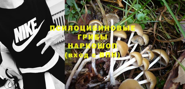 гидропоника Протвино