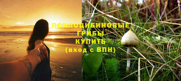 гидропоника Протвино