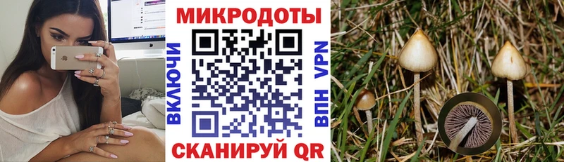 мориарти клад  Белёв  Галлюциногенные грибы мицелий  наркошоп 